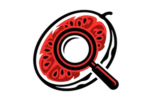 米胡桃 - 吃瓜社Logo